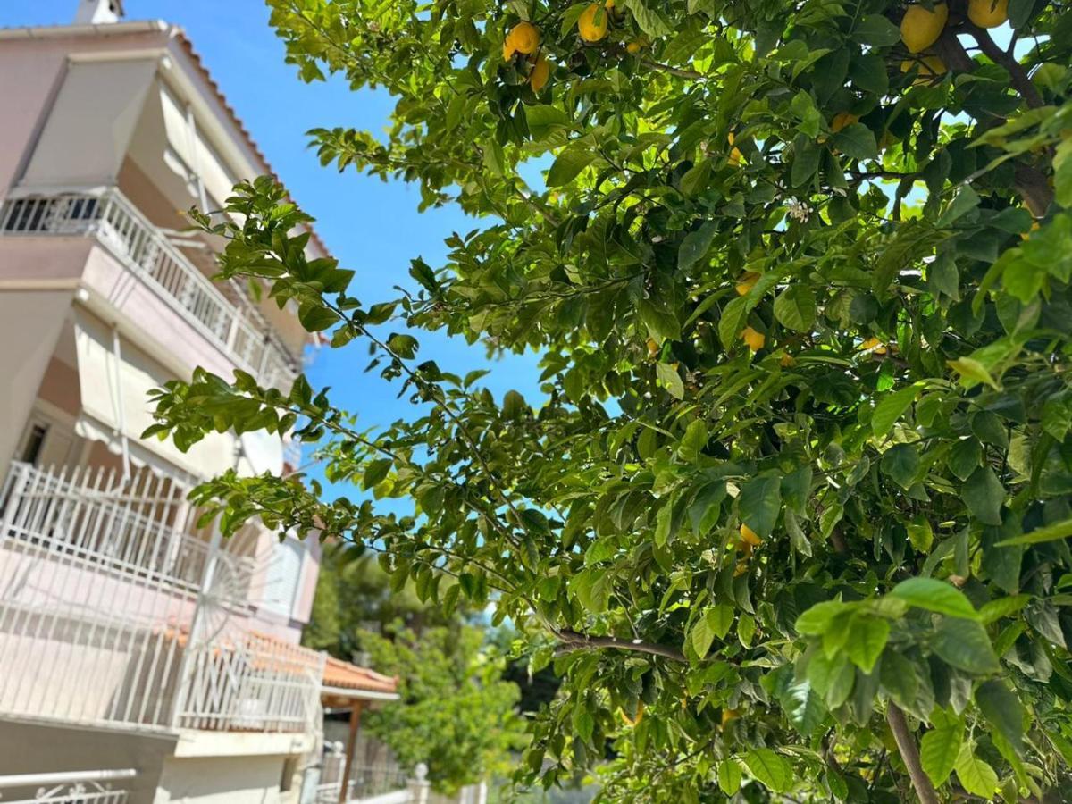 La Vita Apartments-Near Airport & Sea Loútsa Exterior foto